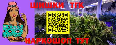 гашик Дубна