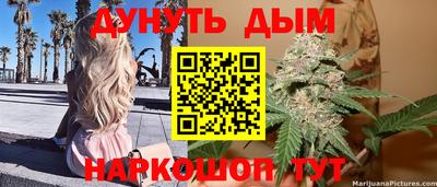 гашик Дубна
