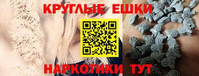 гашик Дубна