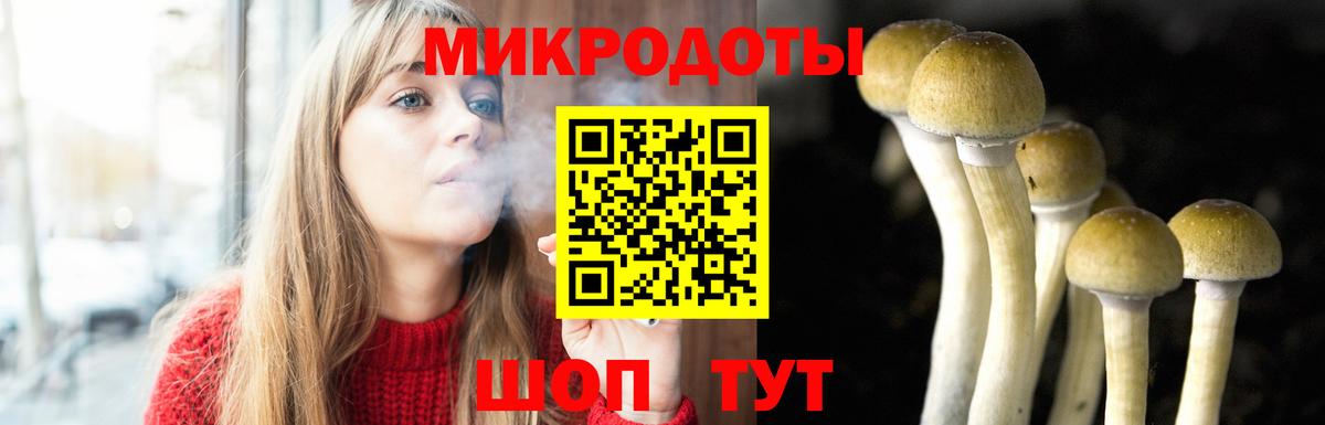 Набережные Челны  Галлюциногенные грибы ЛСД  Вход с VPN 